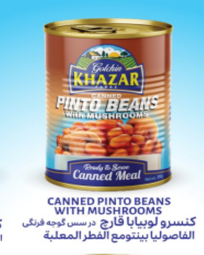 گلچین خزر(هیراد) کنسرو لوبیا با قارچ درب آسان 12عددی مصرف کننده 1،870،000ریال