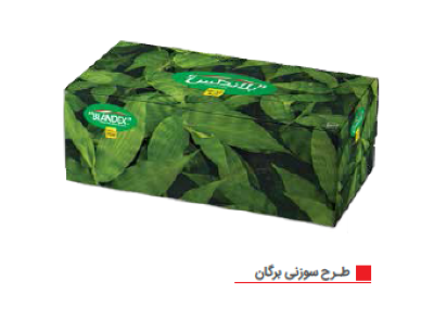 بلاندکس دستمال 200برگ جعبه ای کارتن 40عددی مصرف کننده 896،500